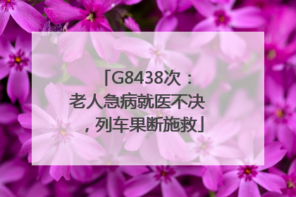 G8438次：老人急病就医不决，列车果断施救