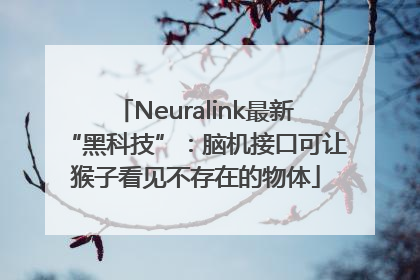 Neuralink最新“黑科技”：脑机接口可让猴子看见不存在的物体